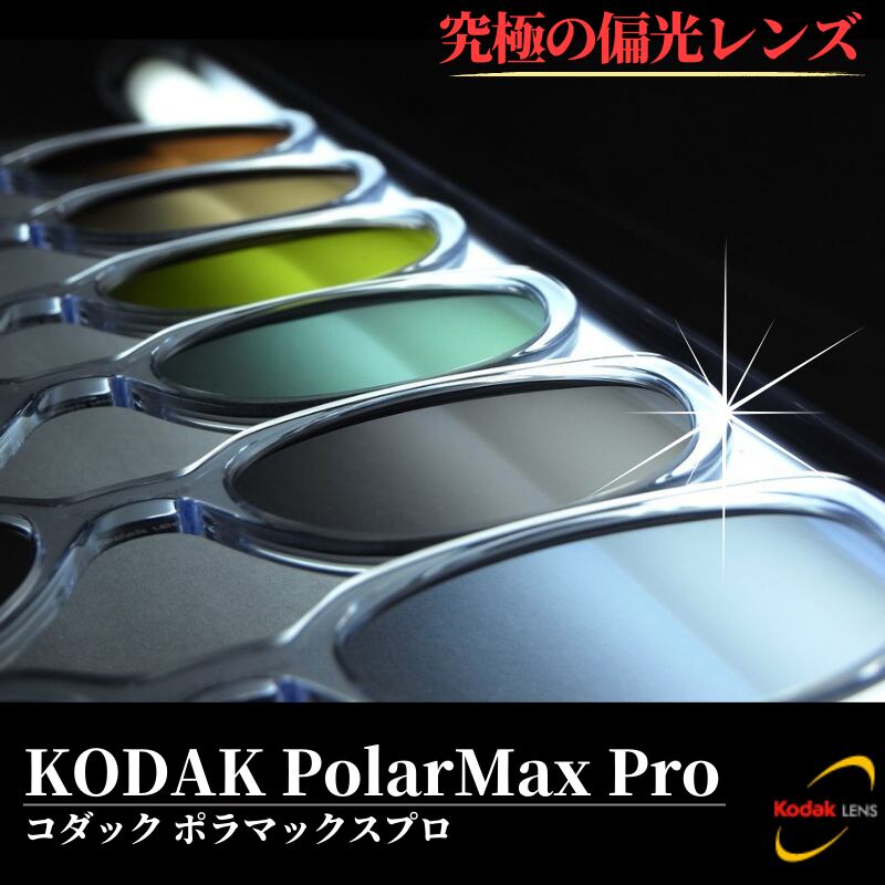 究極 オリジナル偏光サングラス #40 ウェイファーラー × PolarMax Pro Ray-Ban レイバン Wayfarer 釣り オークリー フィッシング アウトドア ドライブ サイクリング ゴルフ キャンプ