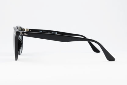 Ray-Ban サングラス RB4259-F 601/71 53サイズ ボスリントン ボストン ウェリントン レイバン 正規品
