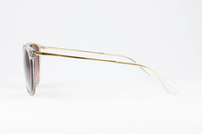 Ray-Ban サングラス RB4171-F 6744/13 ERIKA エリカ 54サイズ ボストン レイバン 正規品
