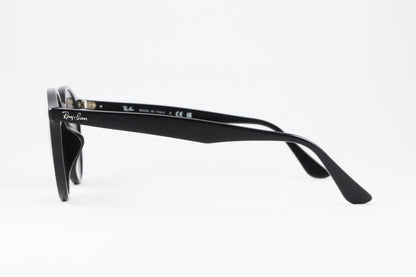 Ray-Ban サングラス RB2180-F 601/11 51サイズ ボストン フレーム レイバン 正規品