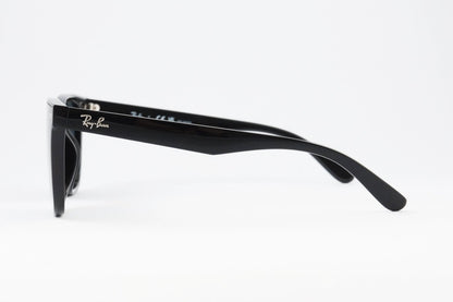 Ray-Ban 偏光 サングラス RB4391D 601/81 ウェリントン レイバン 正規品